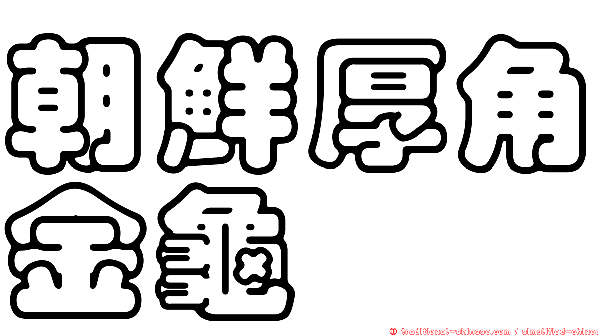 朝鮮厚角金龜