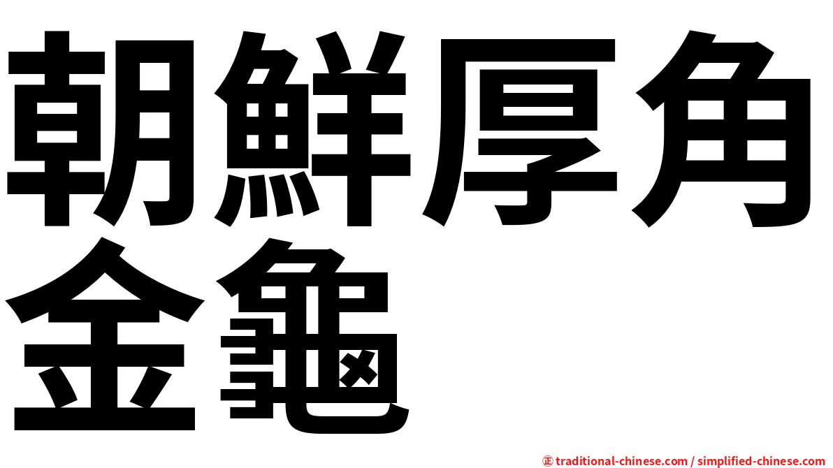 朝鮮厚角金龜
