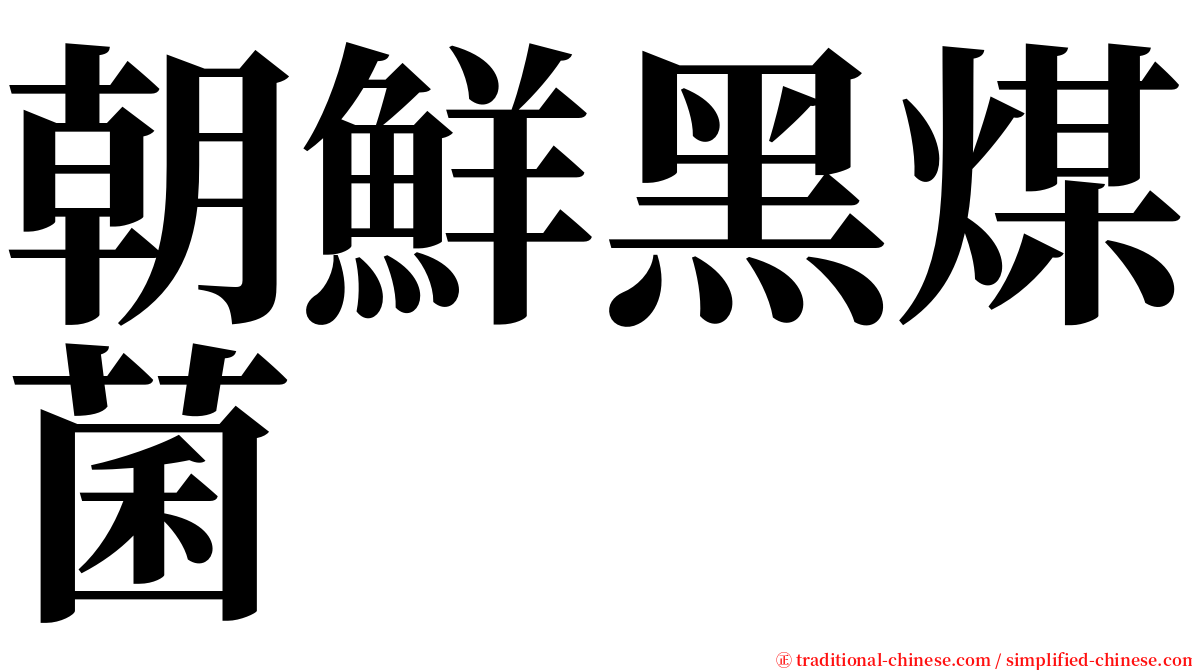 朝鮮黑煤菌 serif font