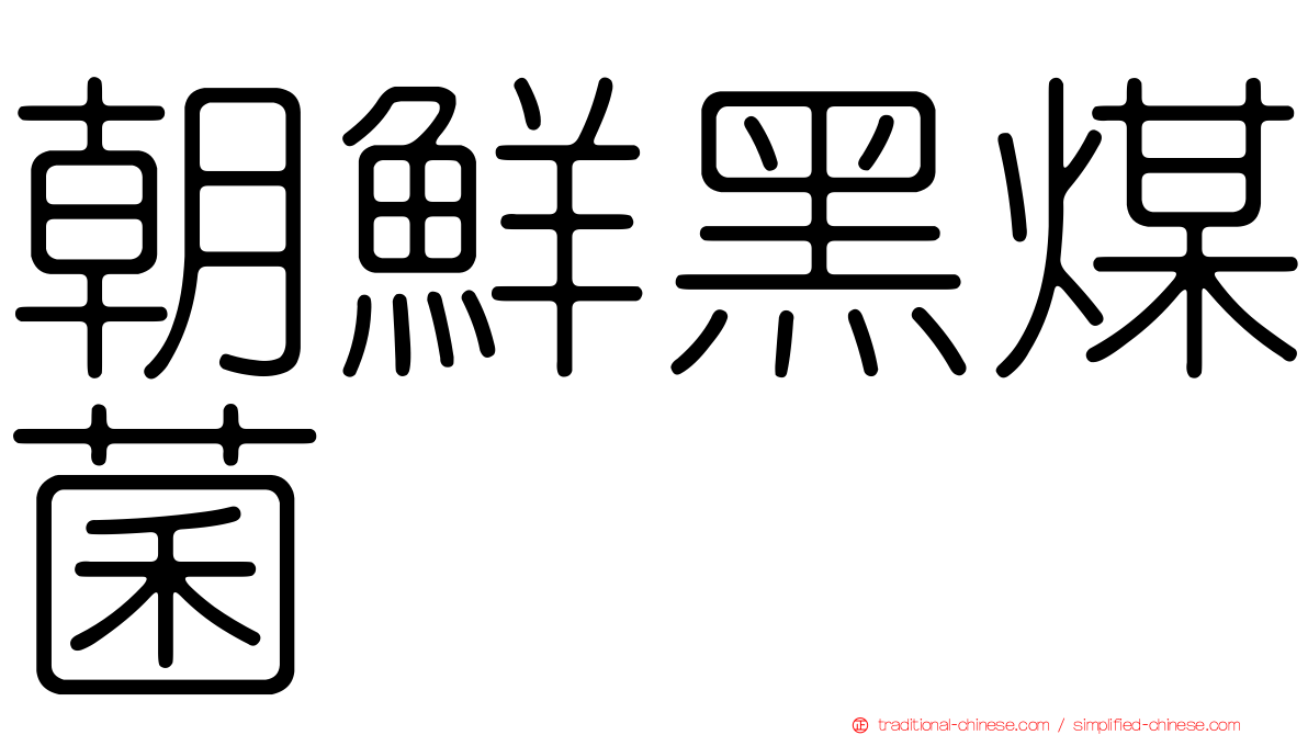 朝鮮黑煤菌