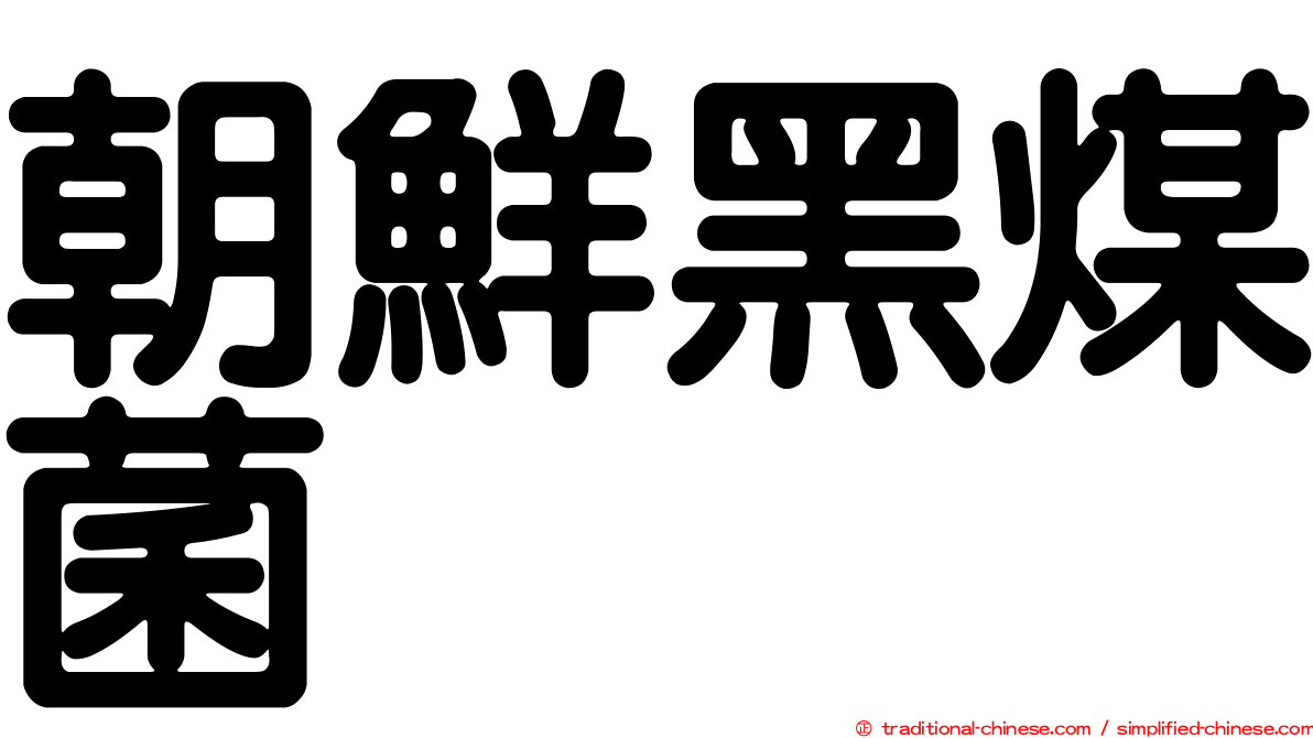 朝鮮黑煤菌