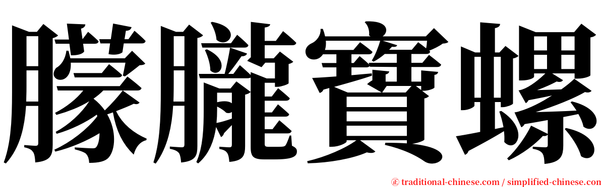 朦朧寶螺 serif font