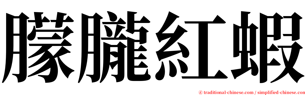 朦朧紅蝦 serif font