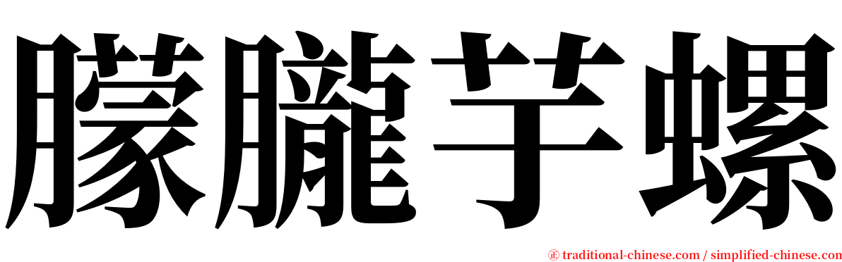 朦朧芋螺 serif font