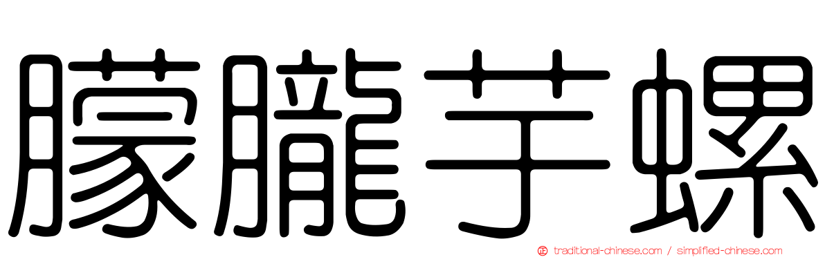 朦朧芋螺