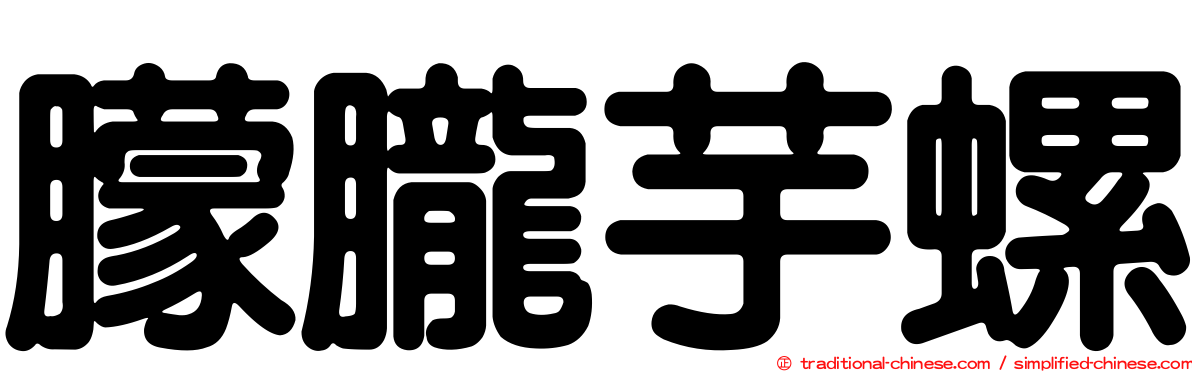 朦朧芋螺