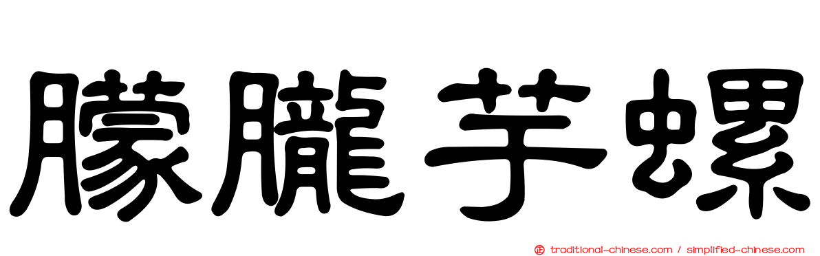 朦朧芋螺