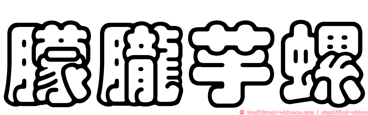 朦朧芋螺