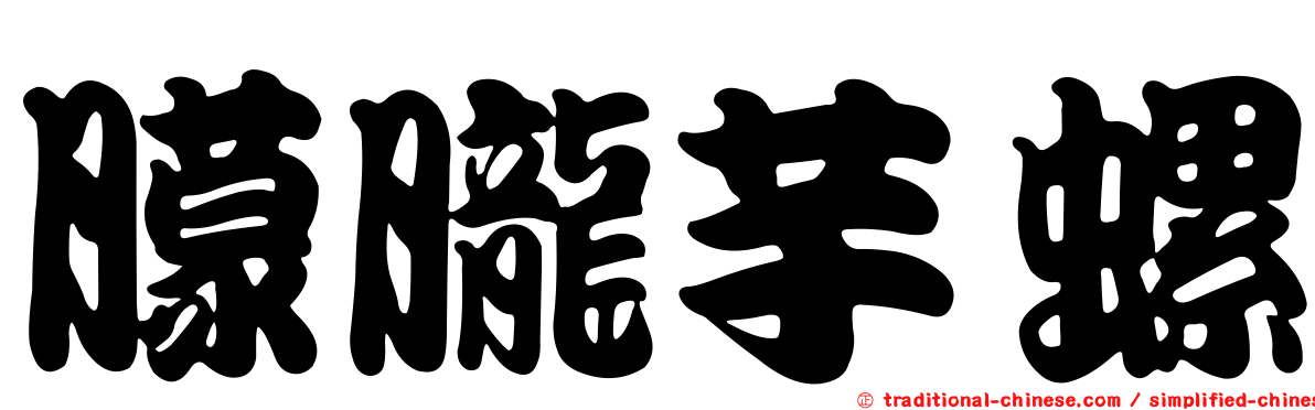 朦朧芋螺