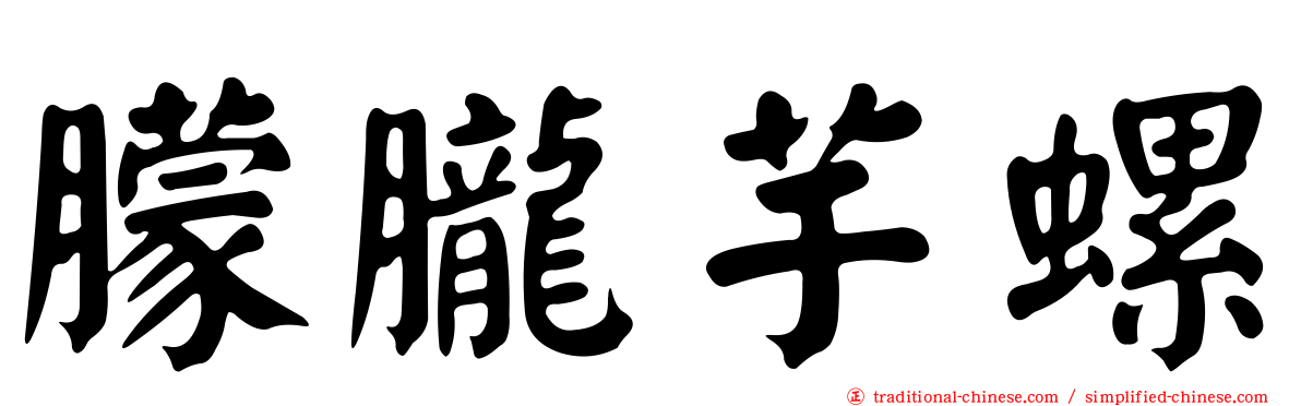 朦朧芋螺