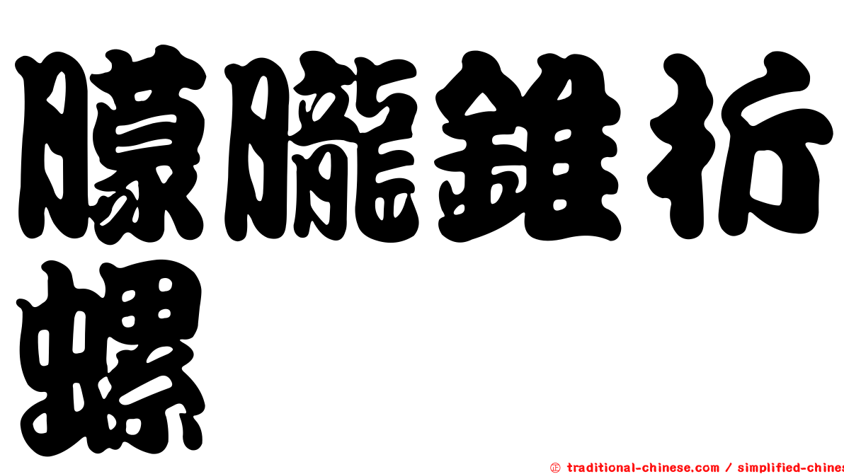 朦朧錐折螺