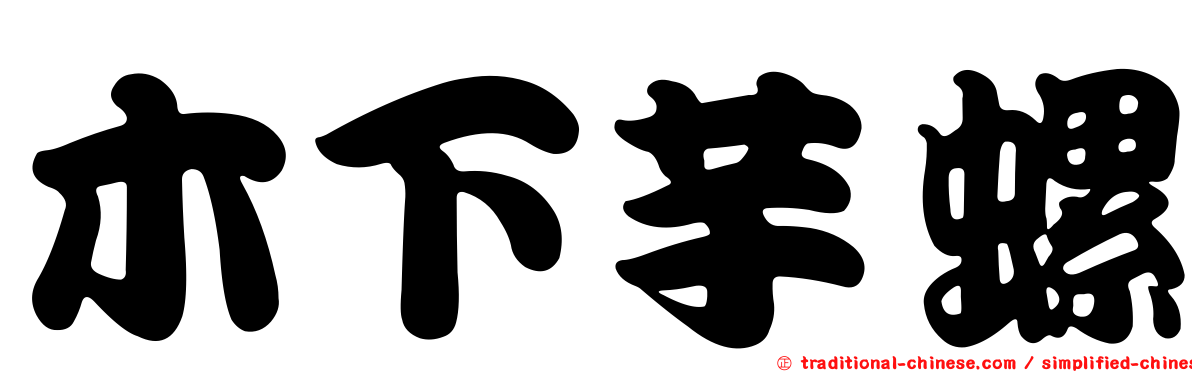 木下芋螺