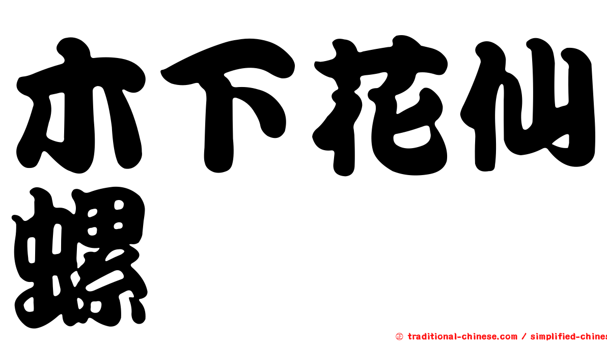 木下花仙螺