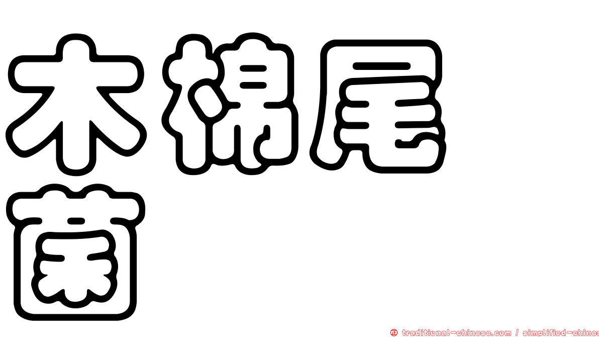 木棉尾孢菌
