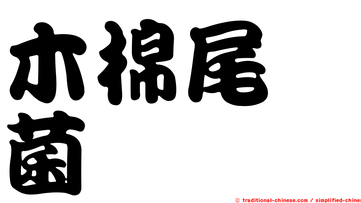 木棉尾孢菌
