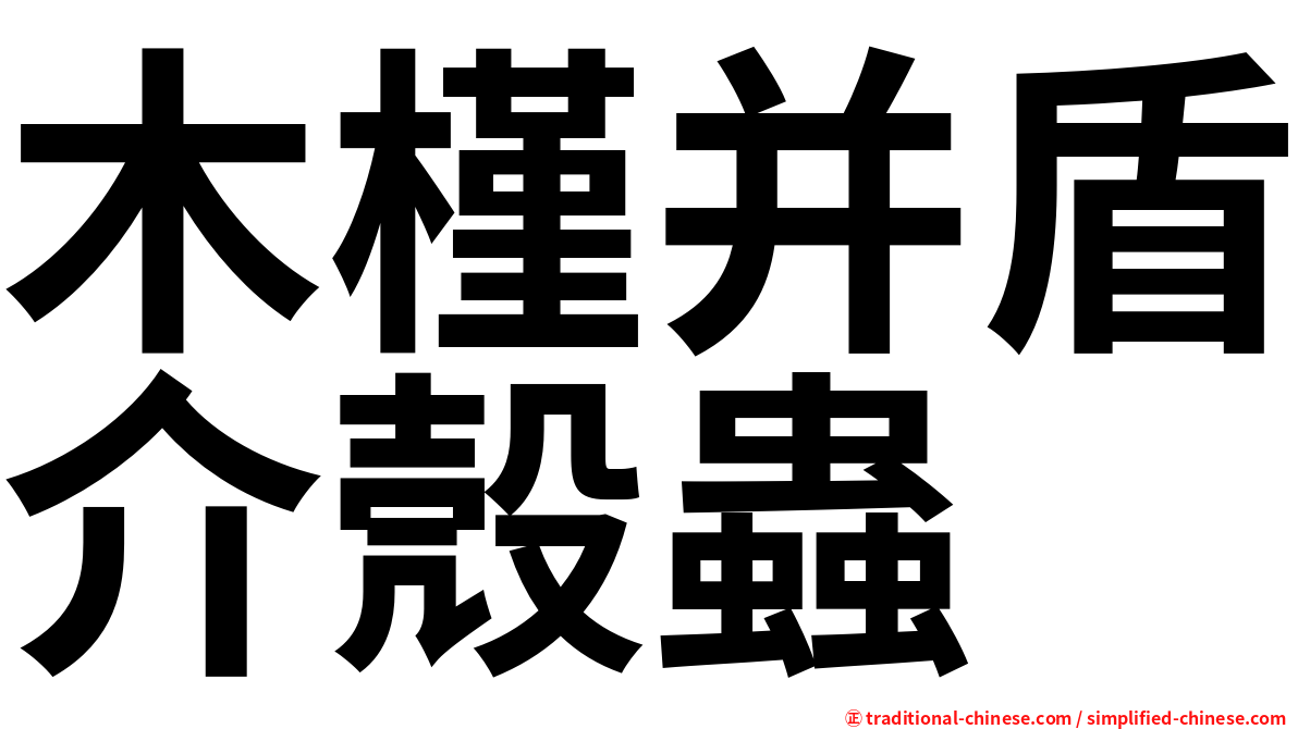 木槿并盾介殼蟲