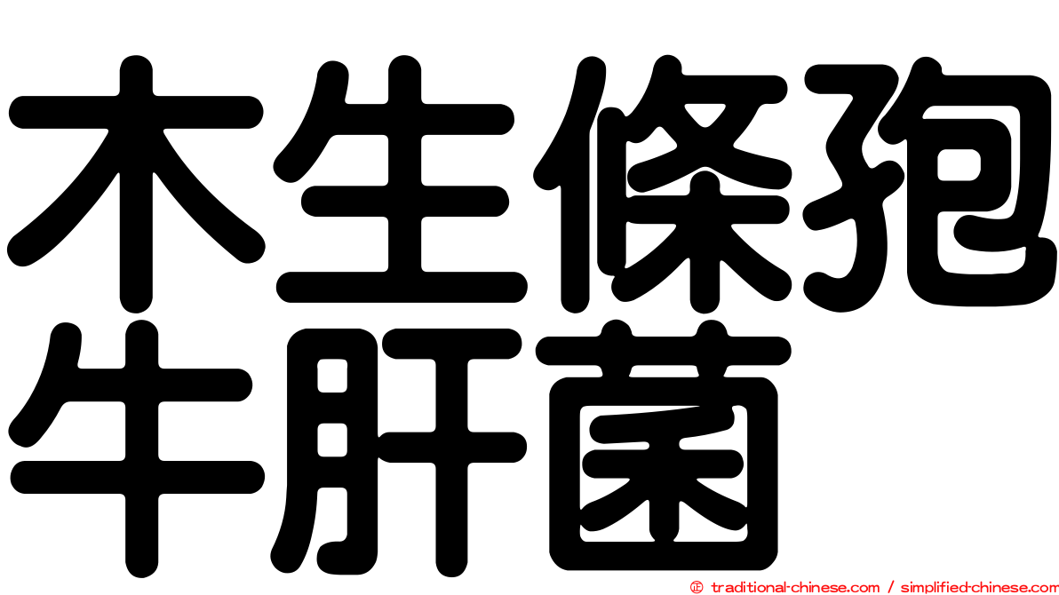 木生條孢牛肝菌
