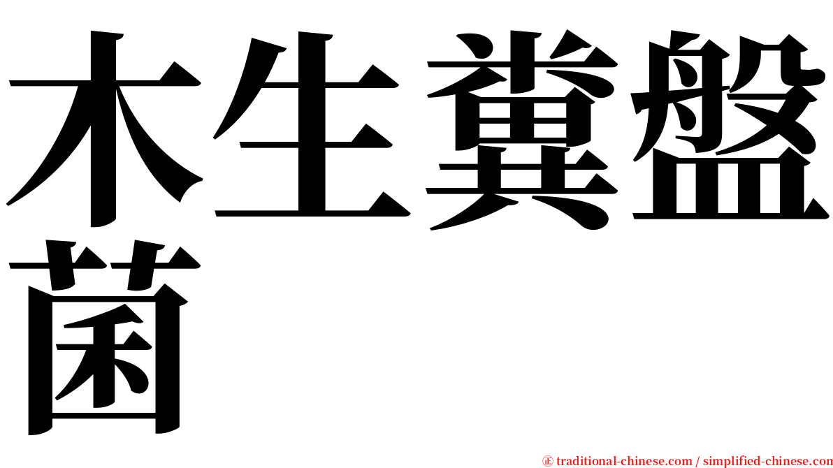 木生糞盤菌 serif font