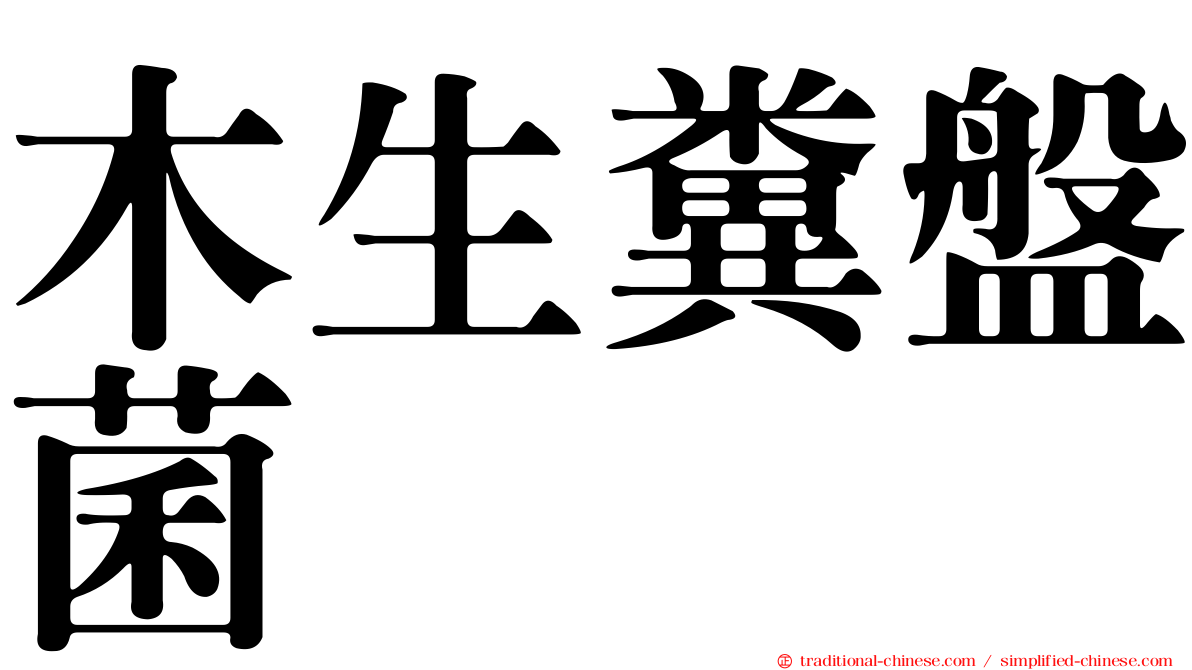 木生糞盤菌