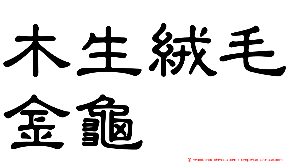 木生絨毛金龜
