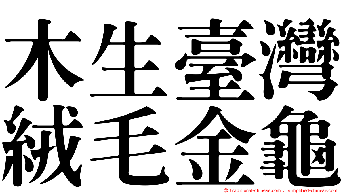 木生臺灣絨毛金龜