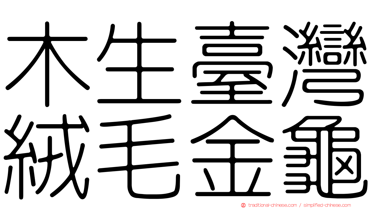木生臺灣絨毛金龜