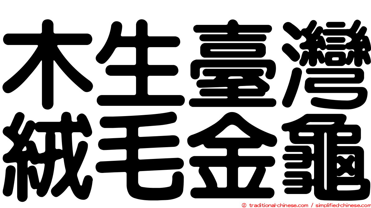 木生臺灣絨毛金龜