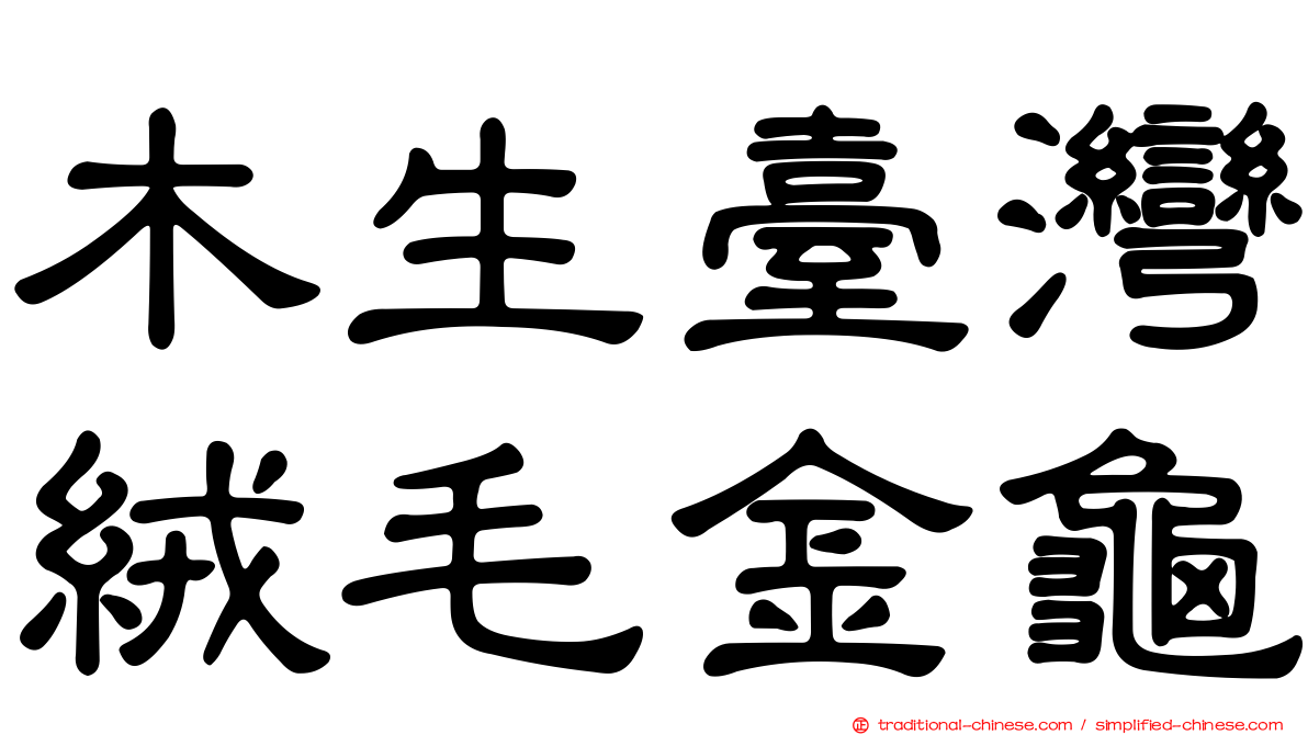 木生臺灣絨毛金龜