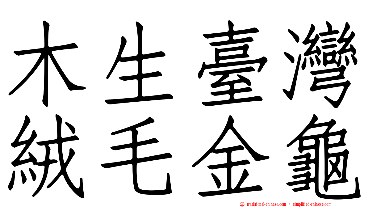 木生臺灣絨毛金龜