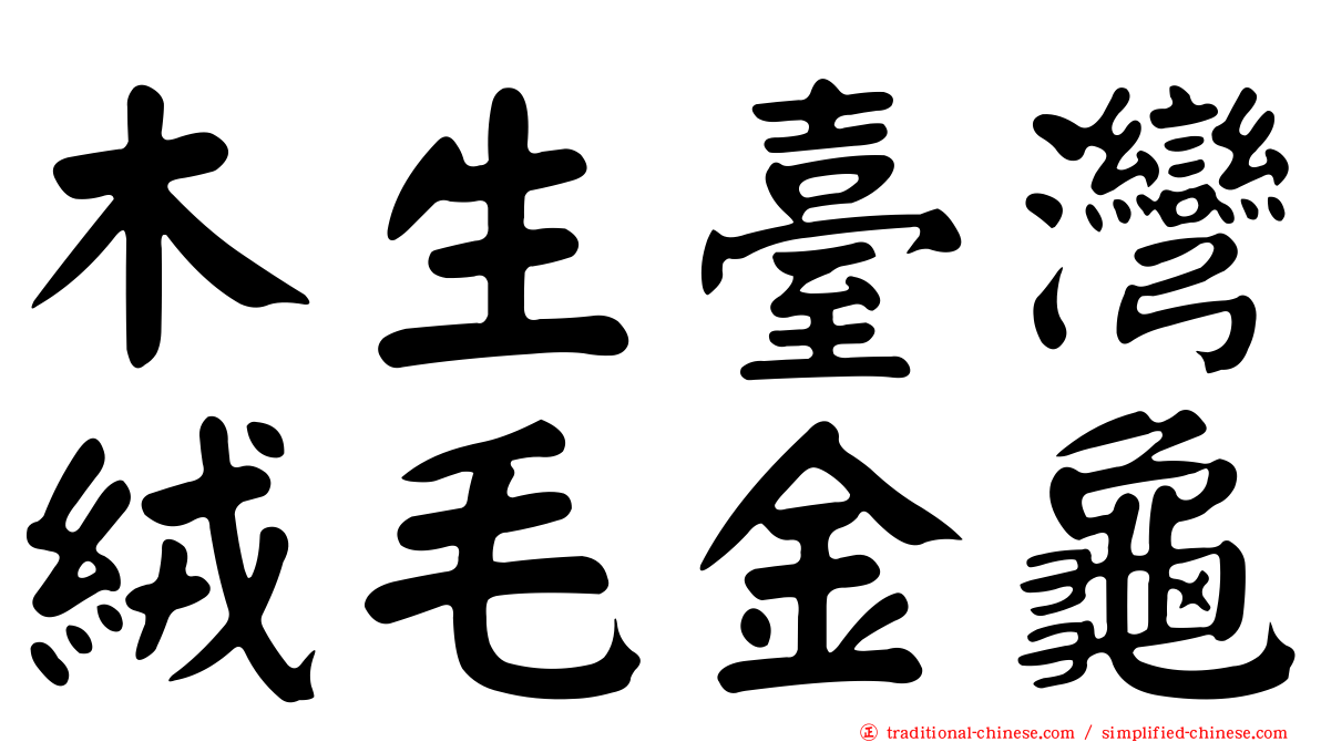 木生臺灣絨毛金龜