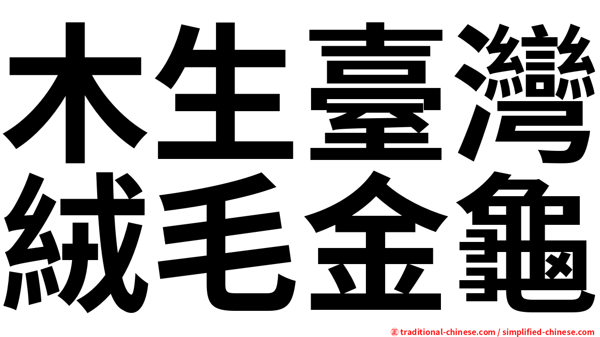 木生臺灣絨毛金龜