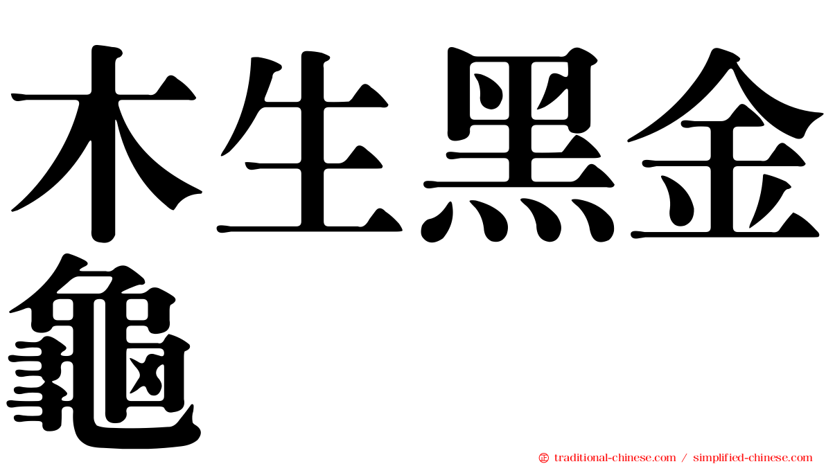 木生黑金龜