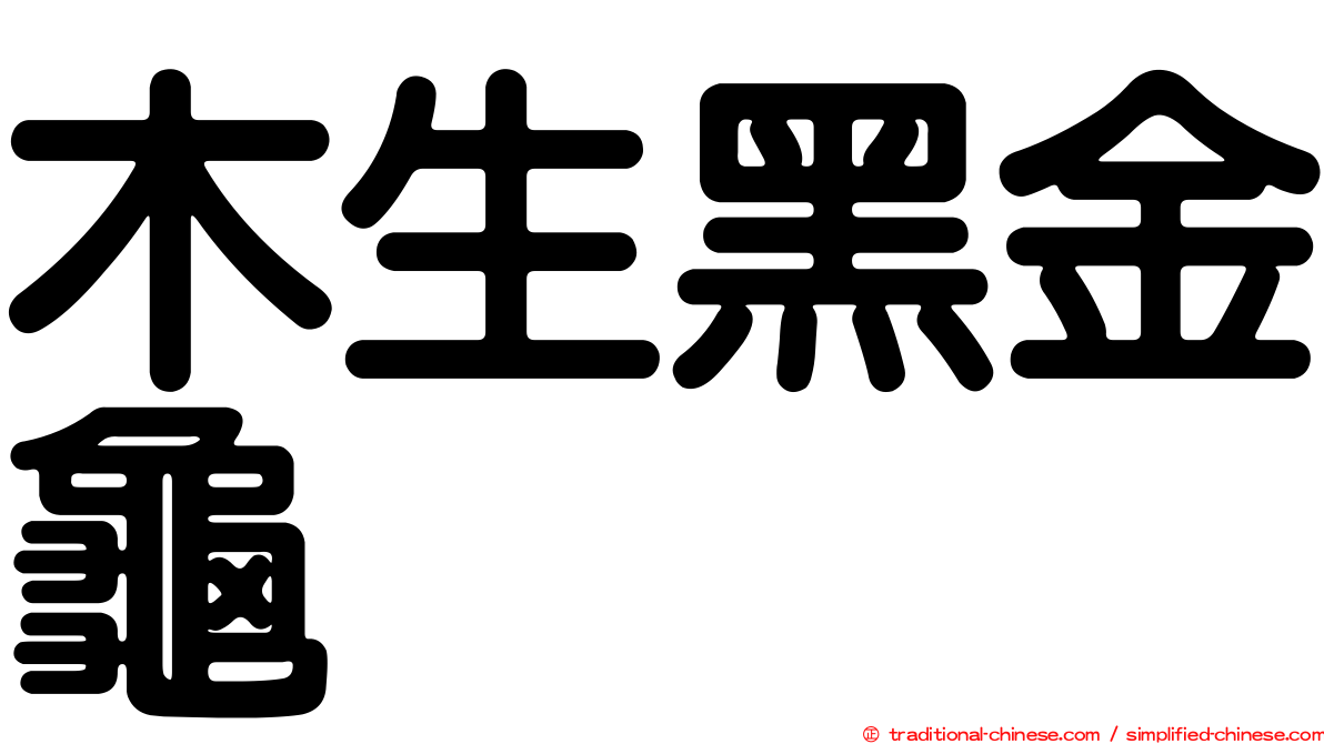 木生黑金龜