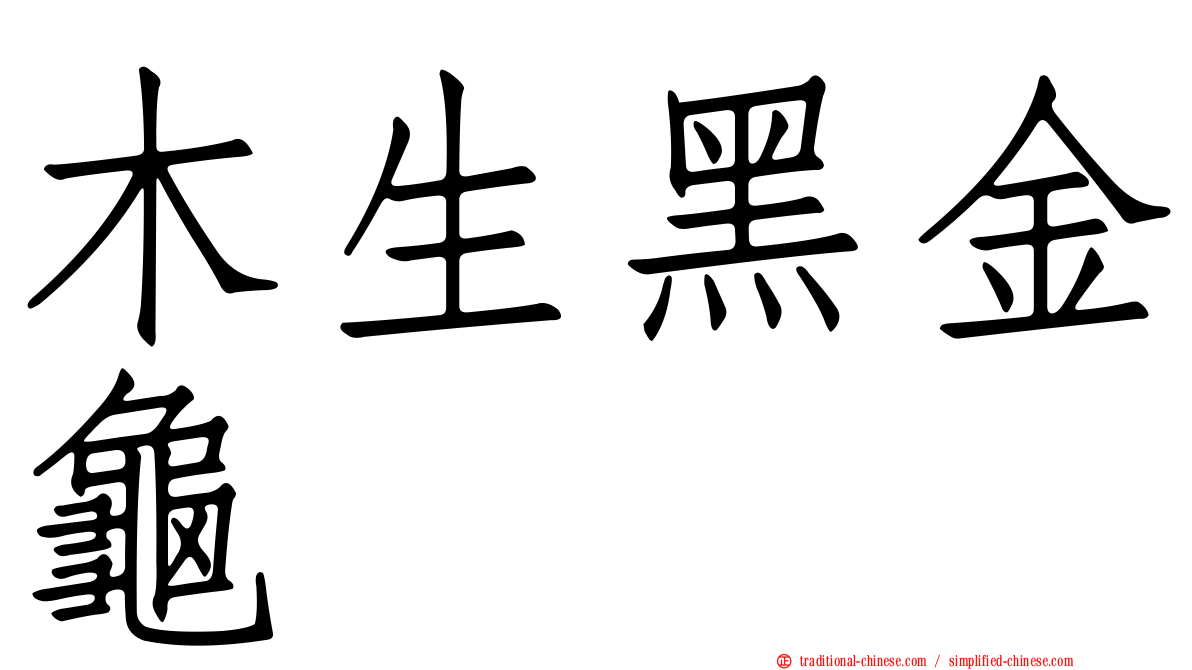 木生黑金龜
