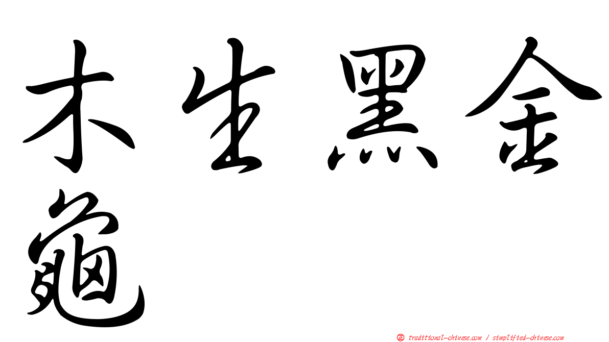 木生黑金龜