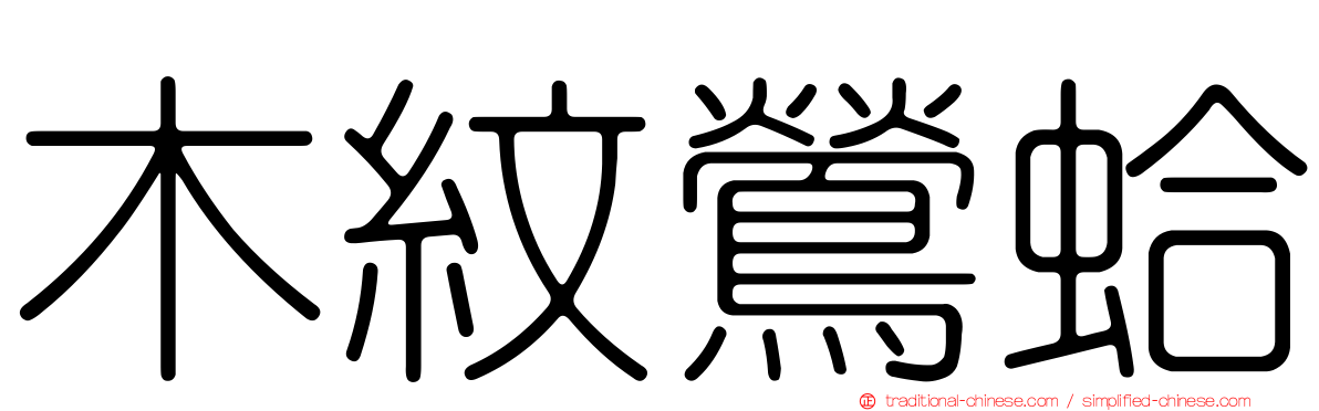 木紋鶯蛤