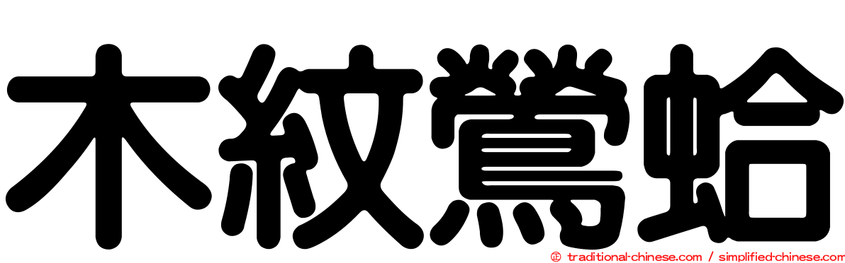 木紋鶯蛤