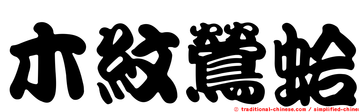 木紋鶯蛤