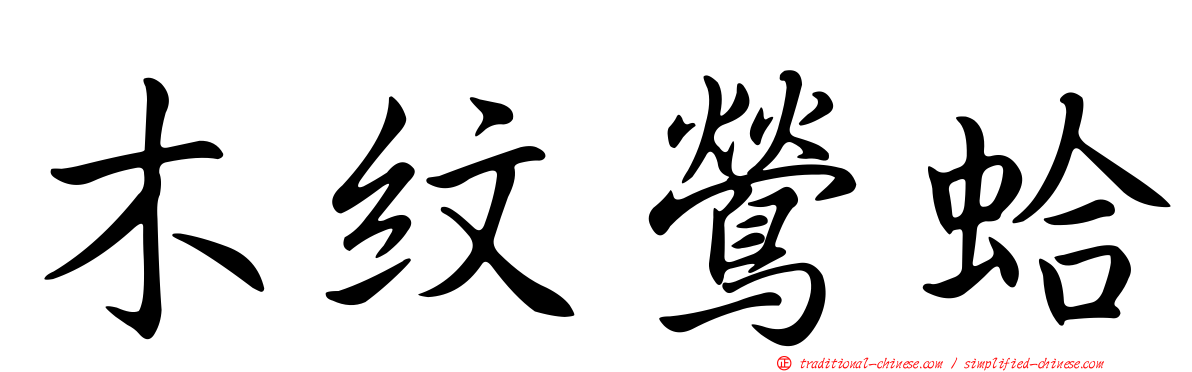 木紋鶯蛤