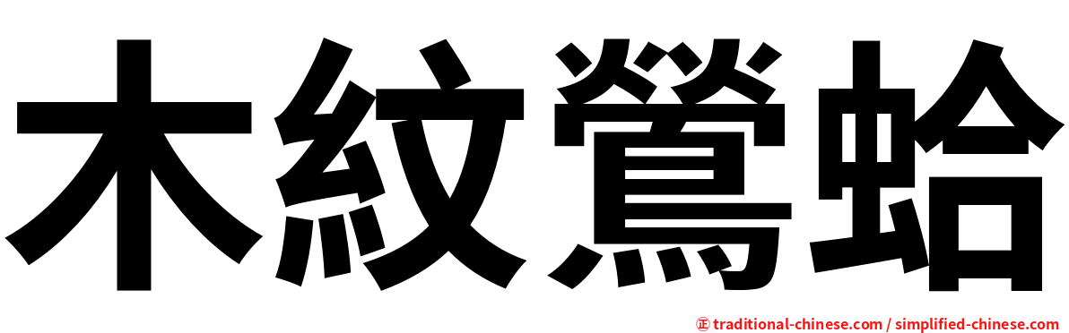 木紋鶯蛤