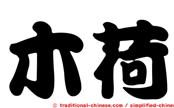 木荷