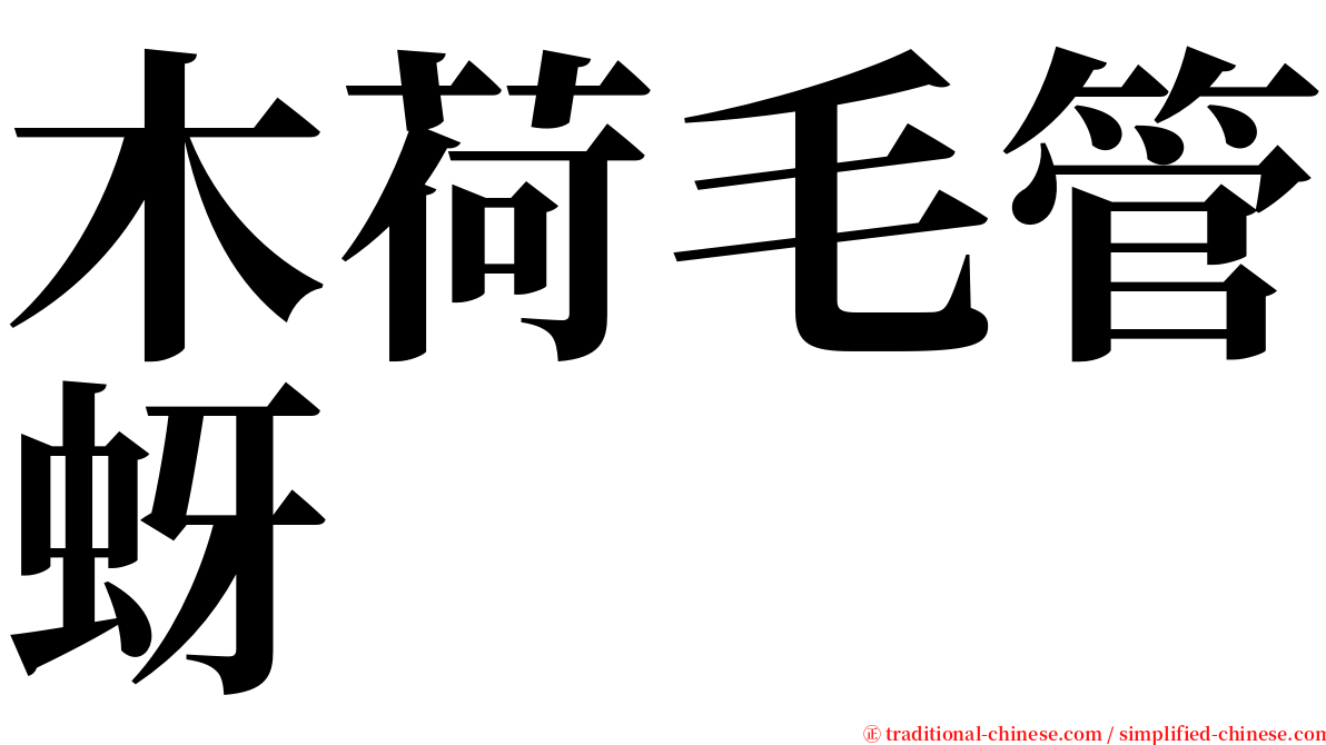 木荷毛管蚜 serif font
