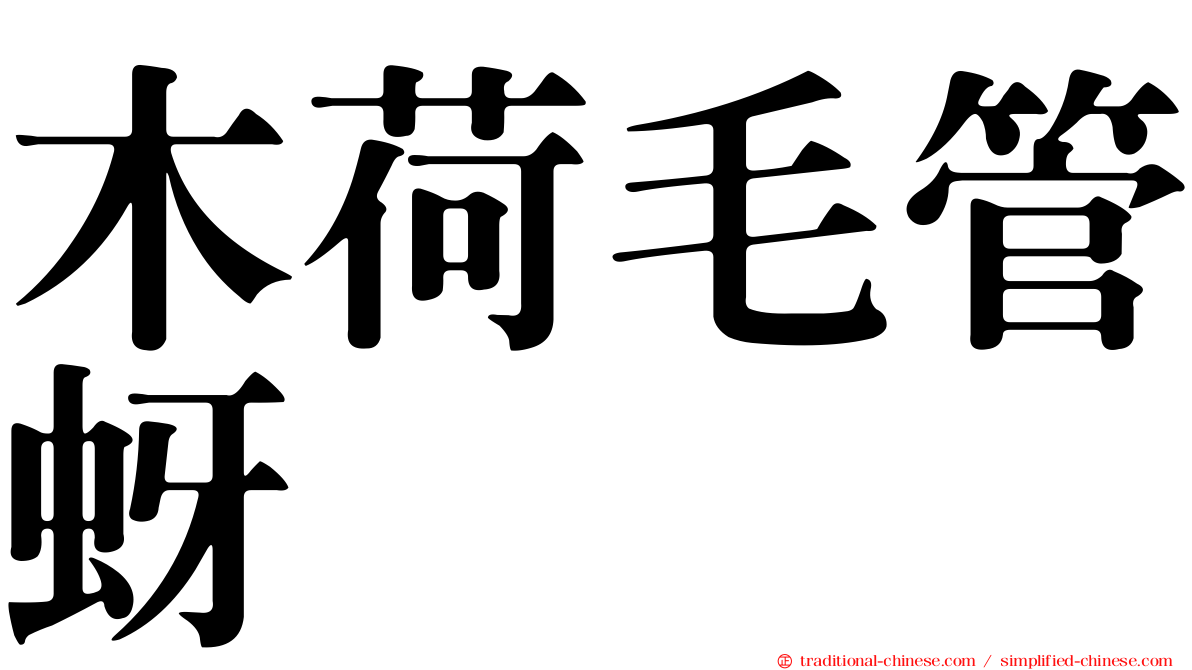 木荷毛管蚜