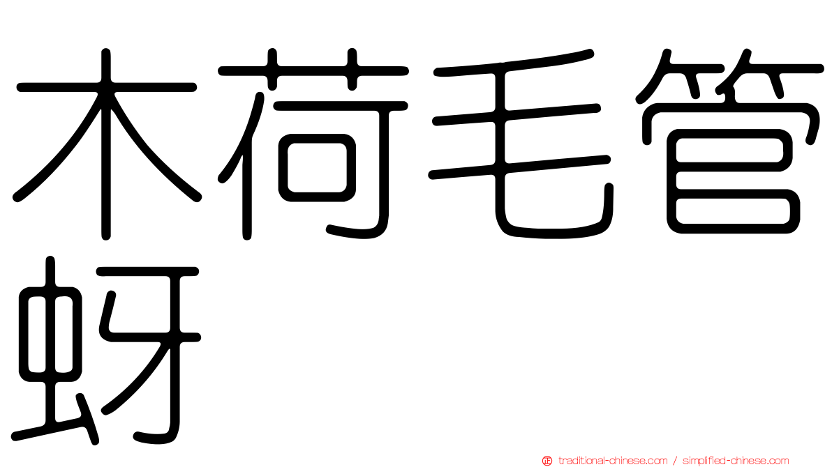 木荷毛管蚜
