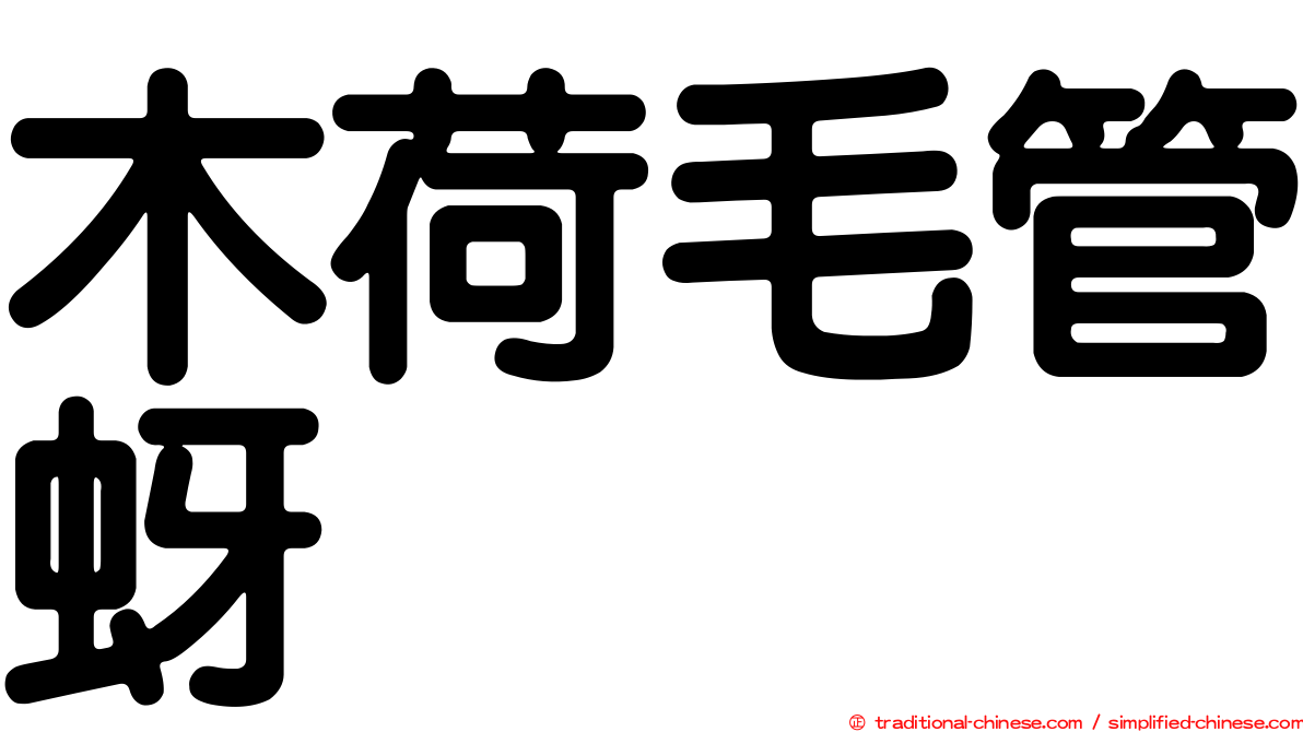 木荷毛管蚜