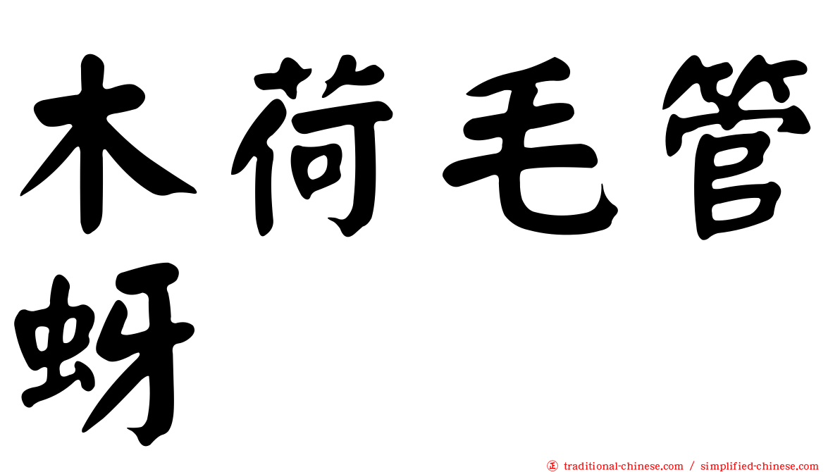 木荷毛管蚜