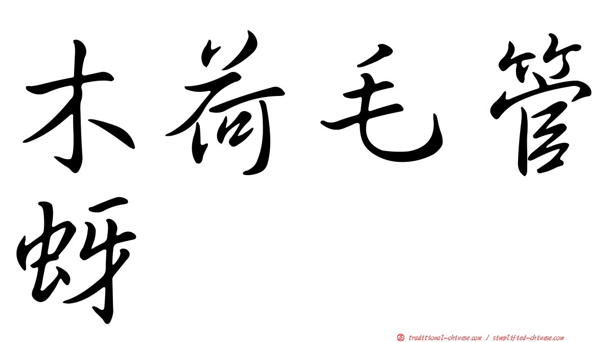 木荷毛管蚜