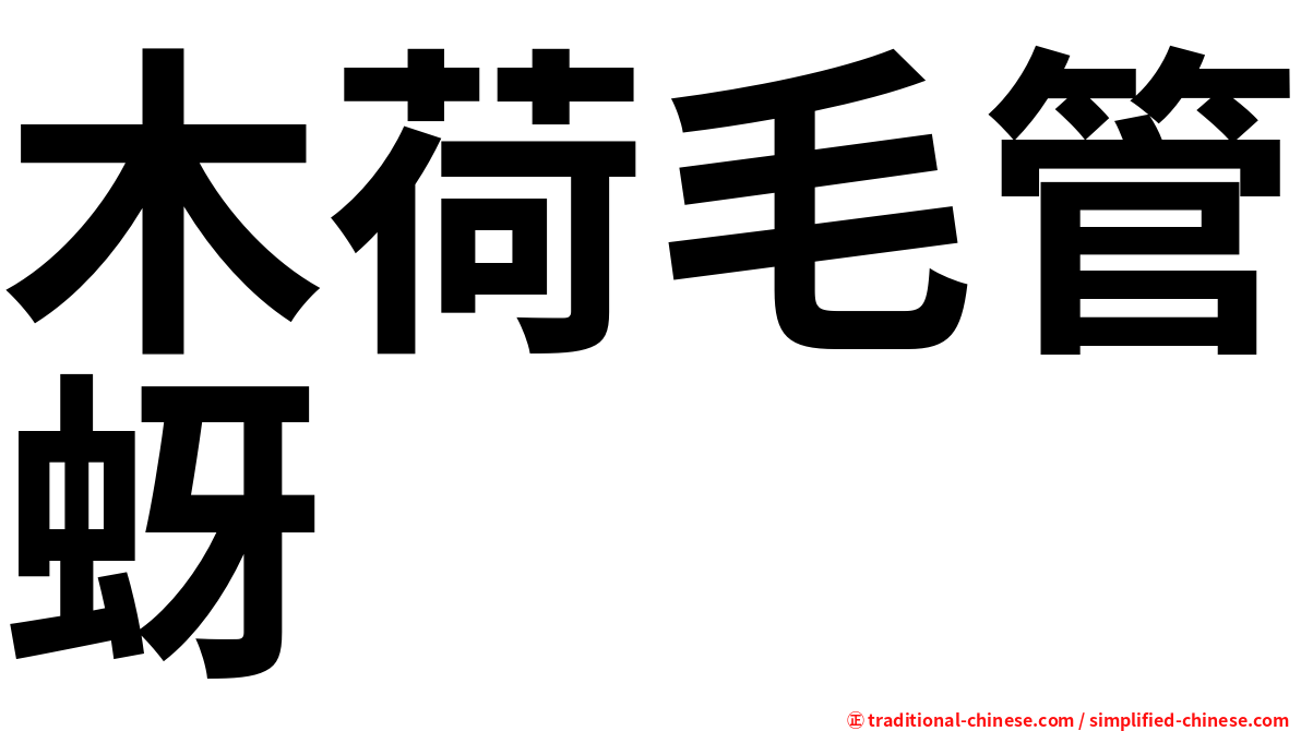 木荷毛管蚜