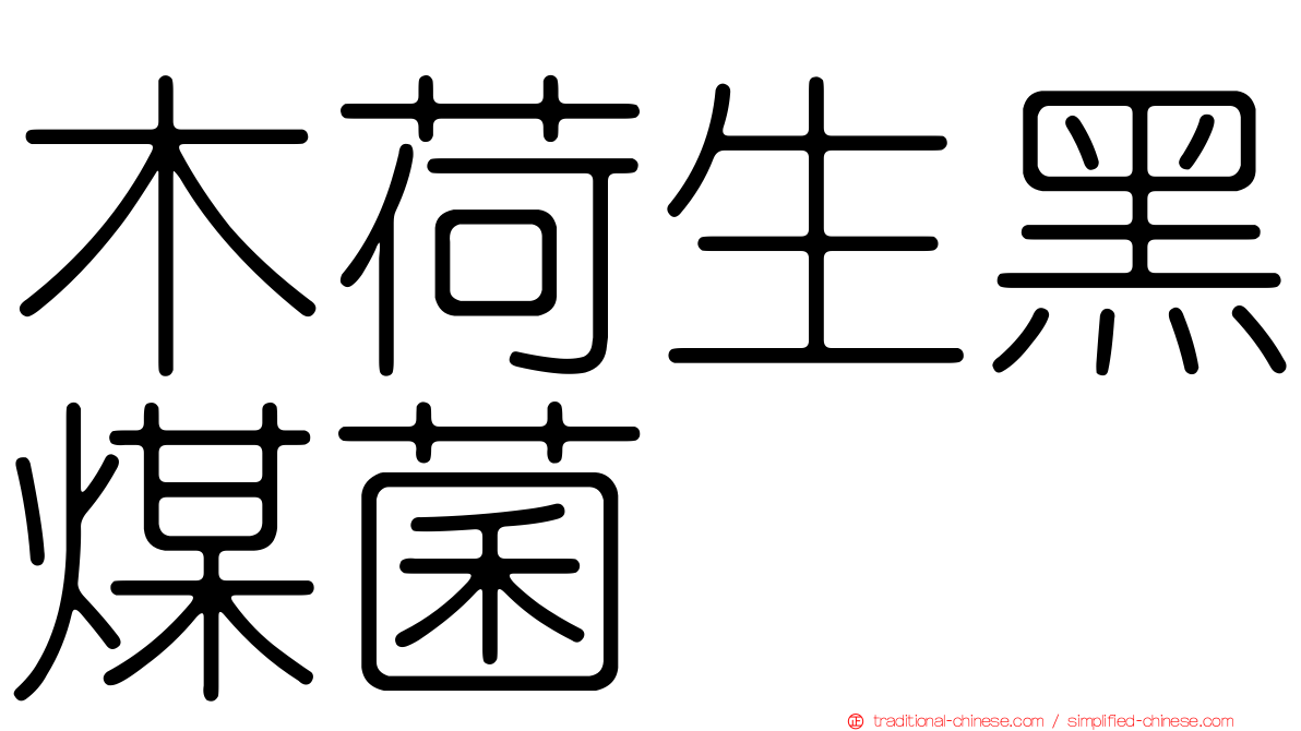 木荷生黑煤菌