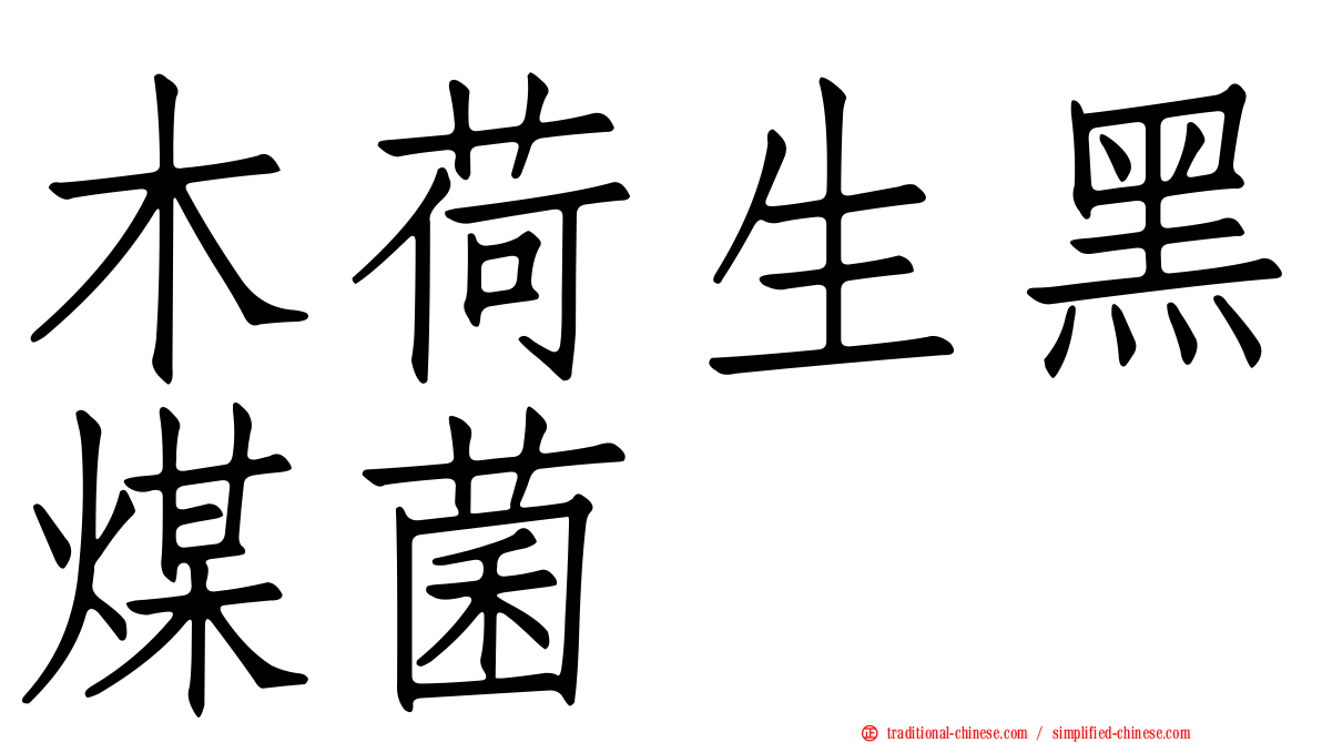 木荷生黑煤菌